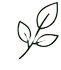 Nature & Movement